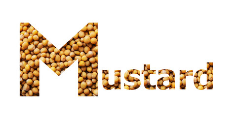 The word Mustard with mustard seeds isolated on white