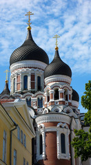 Fototapeta na wymiar Alexander Nevsky Cathedral in Tallin, Estonia