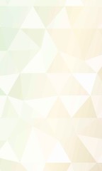 background transparent triangles. polygonal design. vector illustration. for the design of your business plans, presentations, wallpapers