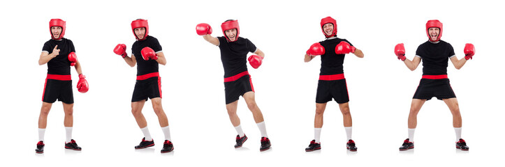 Funny boxer isolated on the white