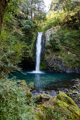 Naklejka premium 浄蓮の滝 静岡県伊豆市