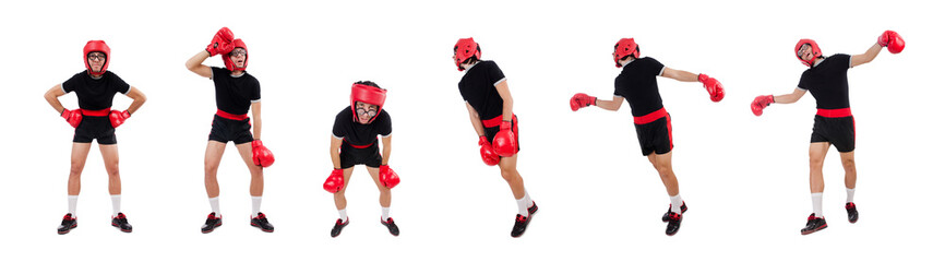 Funny boxer isolated on the white