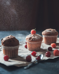 cupcakes with chocolate frosting and sprinkles