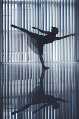 Ballet dancer performing dances near the window © Creativa Images