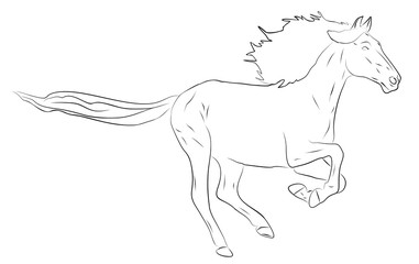 galoppierendes pferd