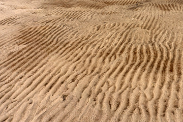 Fototapeta na wymiar Wet sand with traces of water. The texture of the sandy surface after the rain. Close-up.