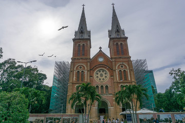 Obraz premium Birds flying towards the Sun at Notre Dame Cathedral of Saigon