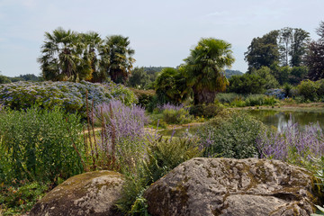 Fototapeta na wymiar Garden of the Blue Spring in Botanical Park of Upper Brittany