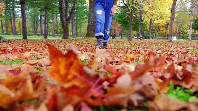 Low Section of Young Hipster Woman Walking in the Park in Autumn Season. Ground covered with Orange and Red Leaves