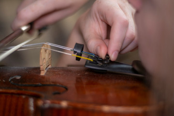 Violin girl conducts fine tuning of the violin