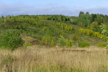 The road through a meadow with a tall grass. The grass is crushed. At the edge of the meadow is a forest. Warm summer evening Clean blue sky.