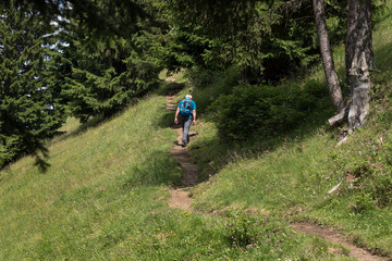 Obraz premium Geologenstein am Schlern