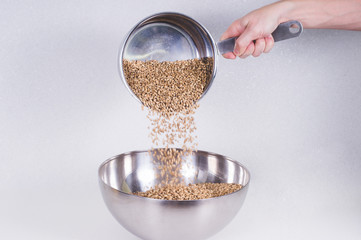caramel malt spilled from a stainless ladle into a bowl. Craft beer brewing from grain barley pale malt in process. Ale or lager from pilsner malt
