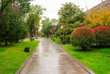 Obraz premium Autumn day in the Chinese park. Xian China.