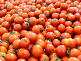 Ripe tomatoes at the farmers market