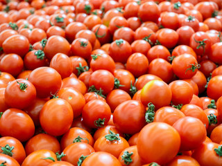 Ripe tomatoes at the farmers market