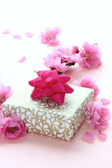 Fototapeta na wymiar 桃の花とプレゼント