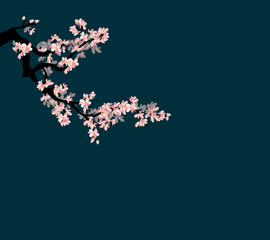 Watercolor sakura frame. Background with blossom cherry tree branches for new year 2019 © kimminthien