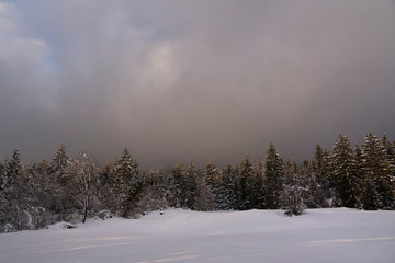 Winter im Naturpark Dobratsch