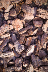 wooden chips mulch on the ground texture with vignette. background.