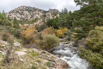 Water torrent of the Manzanares river in the Pedriza area of Madrid