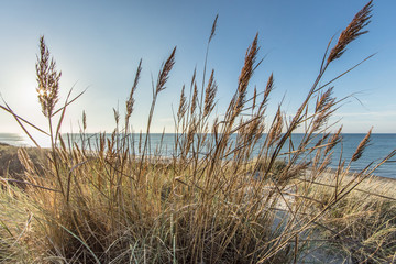 Fototapeta premium ostsee