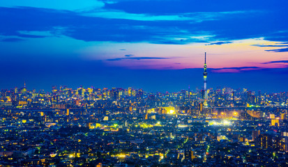city skyline aerial night view in koto district, Japan