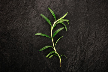 Obraz na płótnie Canvas A photo of an elegant rosemary branch, shot from the top on a black background with a place for text
