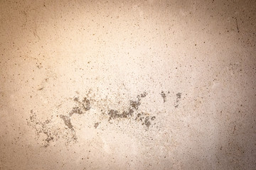 Wall Cement Background