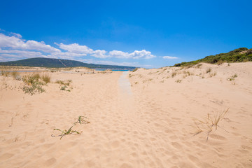 wooden planks footpath covered on beach sand in nature in the Trafalgar Cape, near Canos Meca...