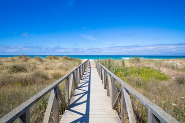 Fototapeta na wymiar wooden walkway, with planks and banisters to preserve nature, straight direct to Palmar Beach and ocean water, in Vejer village (Cadiz, Andalusia, Spain)