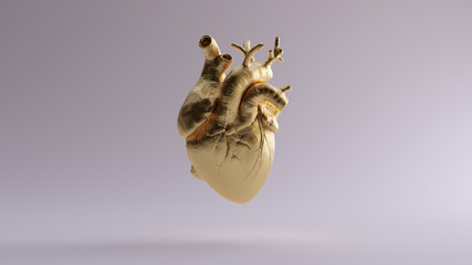 Gold Anatomical Heart 3d illustration 3d render