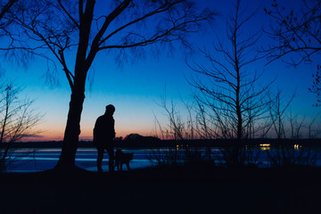 Evening with the dog