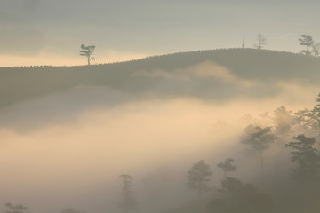 Obraz na płótnie Canvas Amazing view of mountain, mist & cloud when dawn coming..