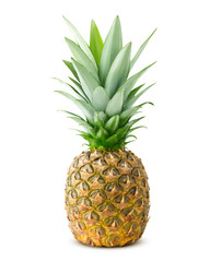 pineapple isolated on white background, clipping path, full depth of field