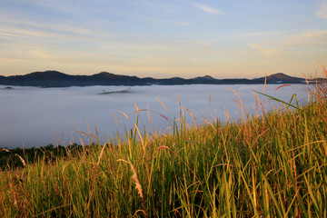 Misty  mountain valley in golden sunlight