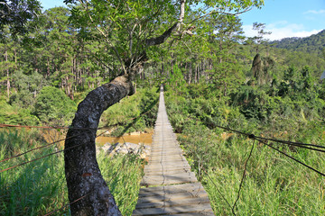 Hanging bridge crossing river in Dalat, Vietnam