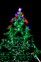 Christmas tree, Bokeh background