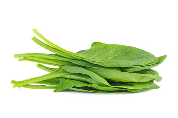 Bunch of green spinach