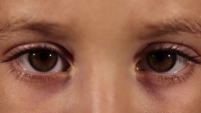 brown eyes of the child macro