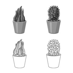 Vector design of cactus and pot sign. Set of cactus and cacti stock symbol for web.