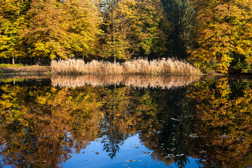 Autumn Lake in Lazienki Park in Warsaw
