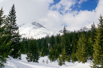 Winter landscape of a fir tree forest covered in beautiful powder snow  with Bobotov Kuk mountain...
