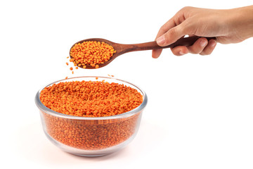Yellow lentil in glass bowl with wooden spoon in the hand isolated on white background.