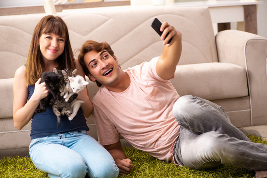 Young family with kitten playing at home
