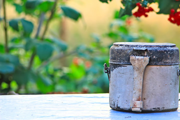 One sunny day in the village, near the house, a lot of pets, bright gorgeous flowers, fields, juicy vegetables, fruits, evening bright sparkling bonfire.