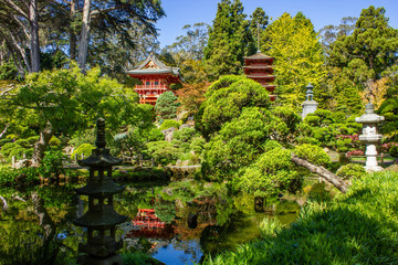 Japanese Tea Garden in Golden Gate Park reflecting in one of the koi ponds. San Fancisci,...