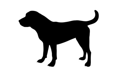 Vector silhouette of dog on white background.