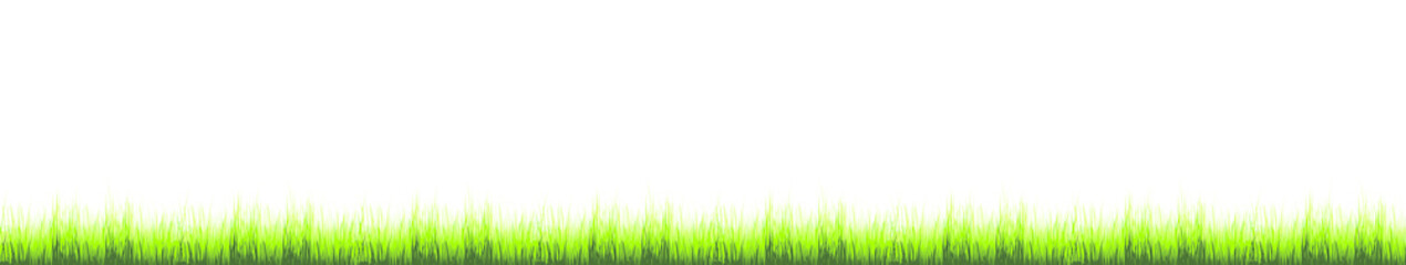 Obraz premium Vector illustration of grass on white background.