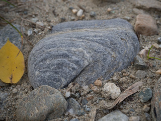 Stone on the ground